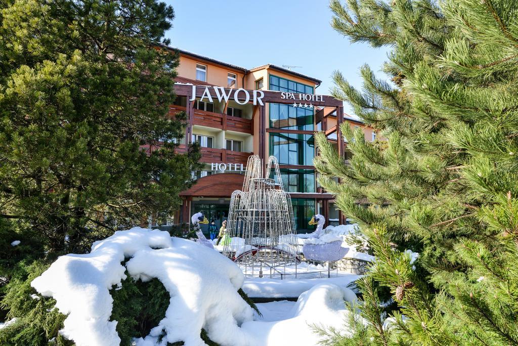 Jawor Готель 4*